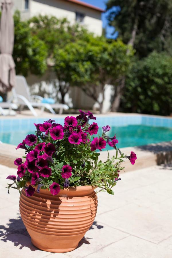 Sunny Rhodes Villa Koskinou  Esterno foto